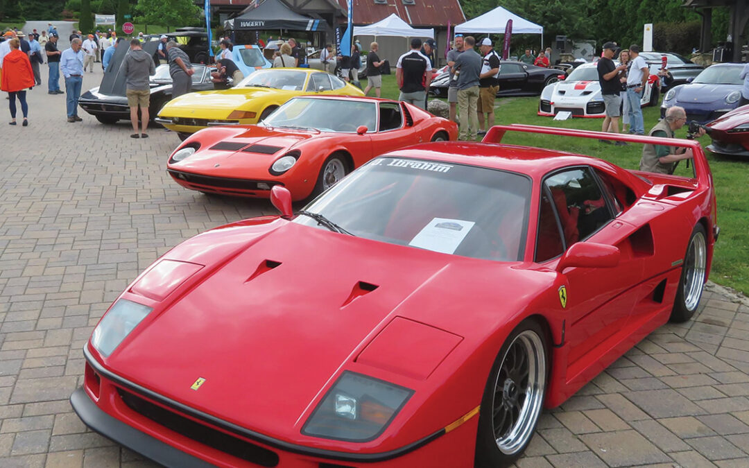 Where Beauty Takes to the Road