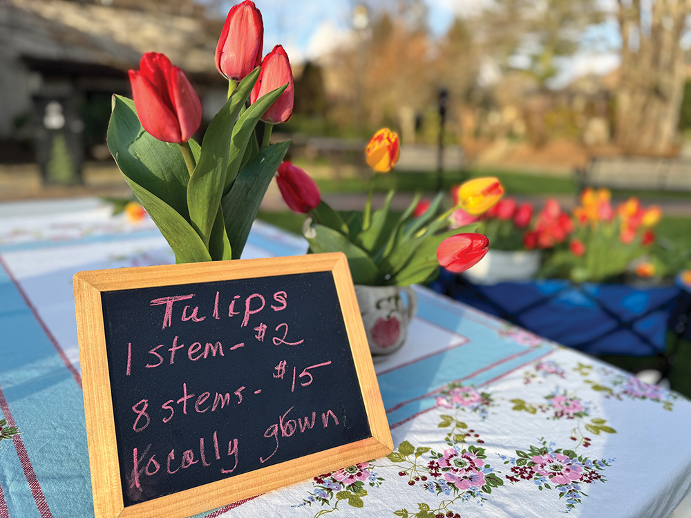 highlands-nc-saturday-marketplace-tulips