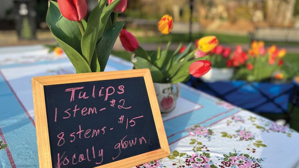 highlands-nc-saturday-marketplace-tulips