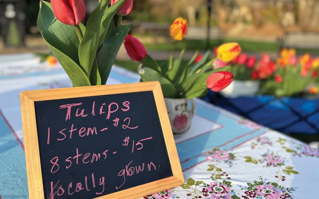 Fresh From Our Farmers