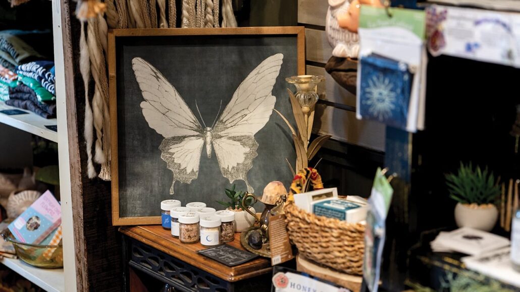 highlands-nc-shopping-natural-selections-butterfly