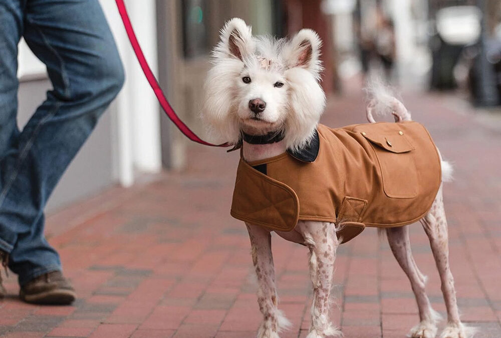 MCE Opens a Highlands Branch