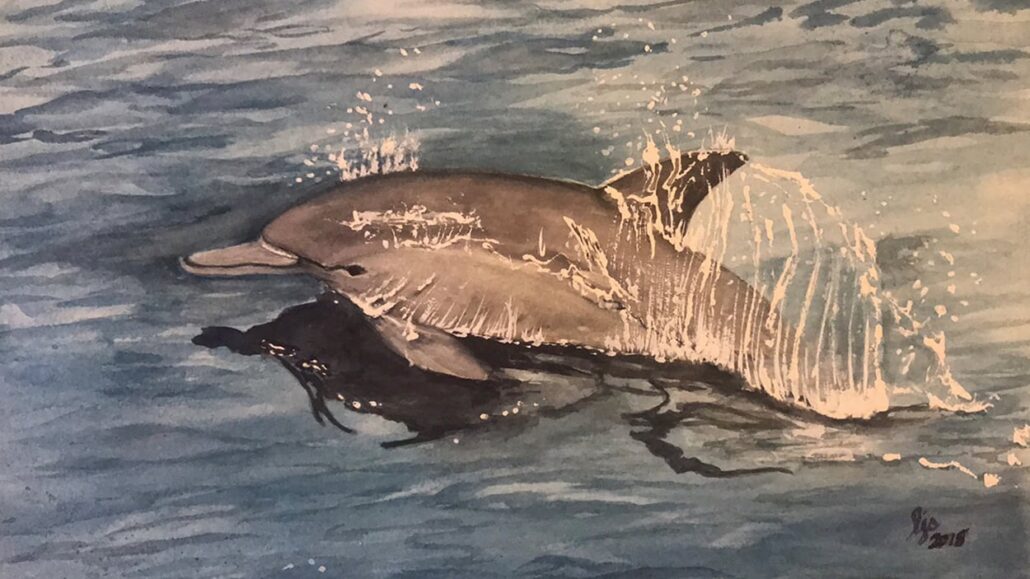 laurel-may-cover-artist-Lindee-Elliott-Dolphin