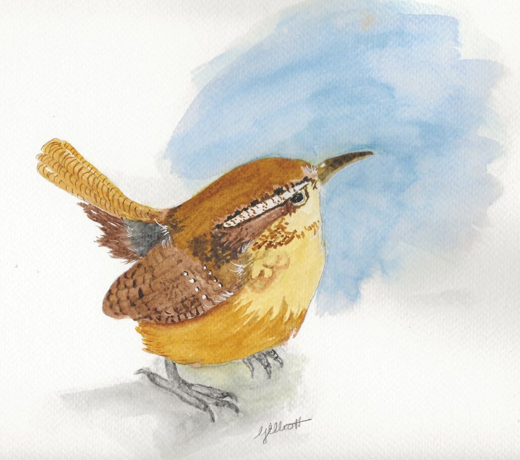 laurel-may-cover-artist-Lindee-Elliott-wren