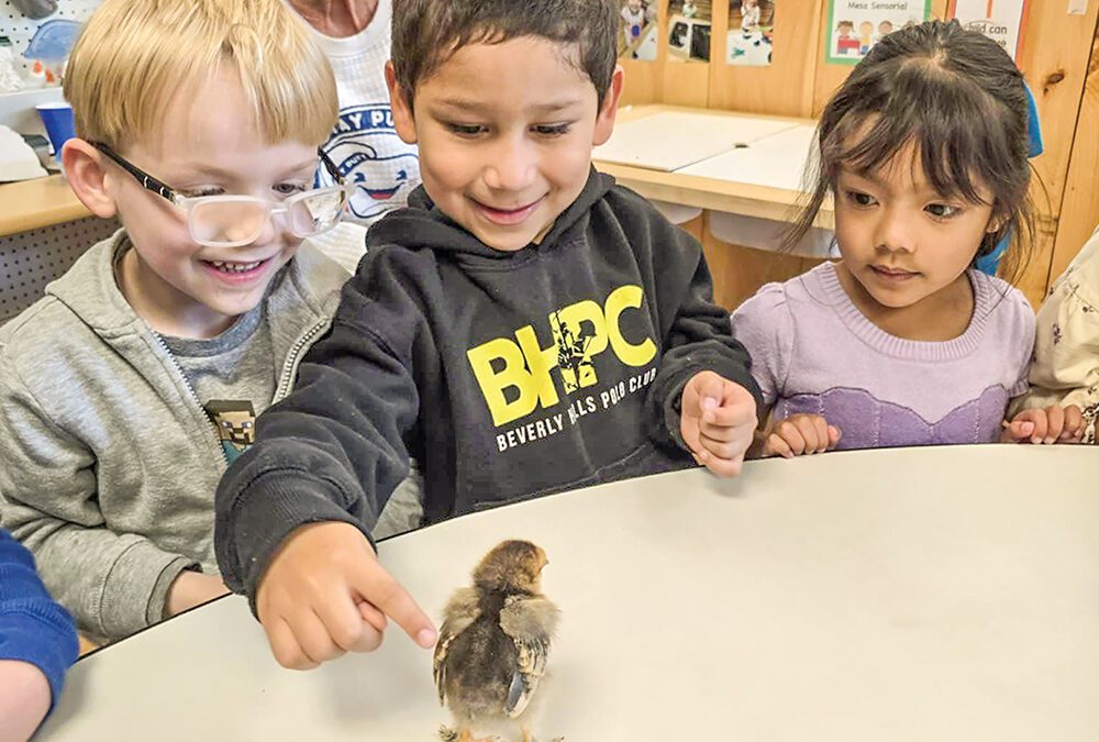 Nature’s a Classroom Extension