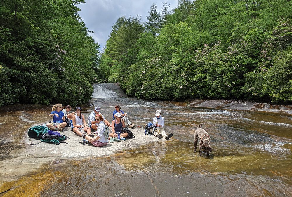 Granny Burrell Waterfall