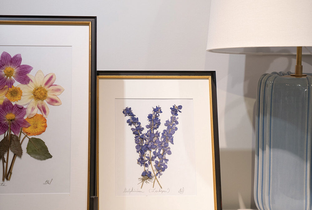 highlands-nc-acorns-southern-botanics