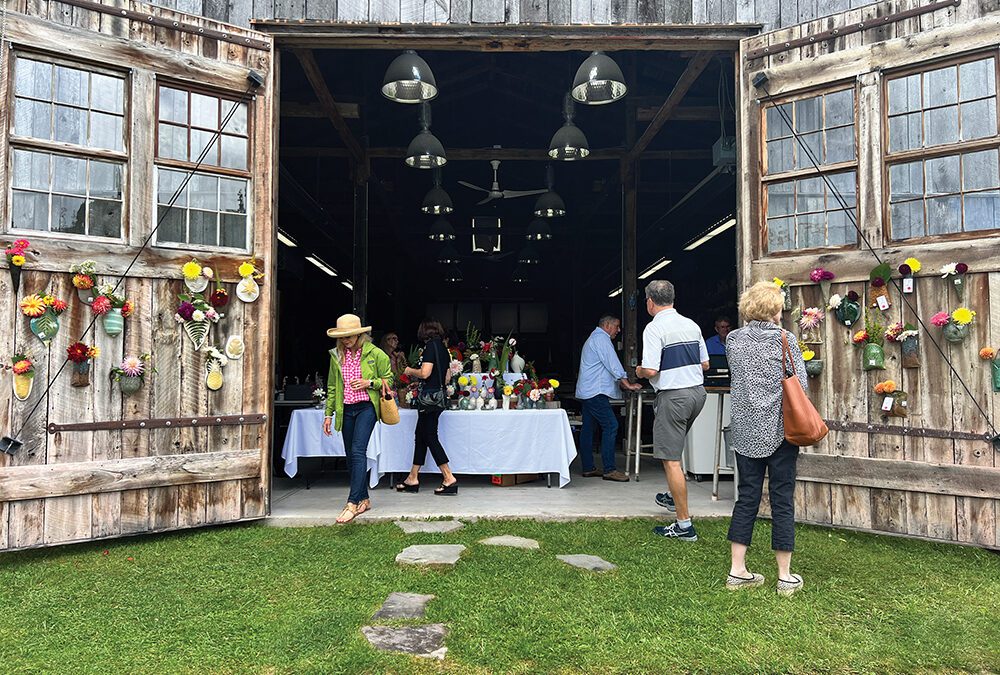 Dahlia Festival Nature’s Fine Art