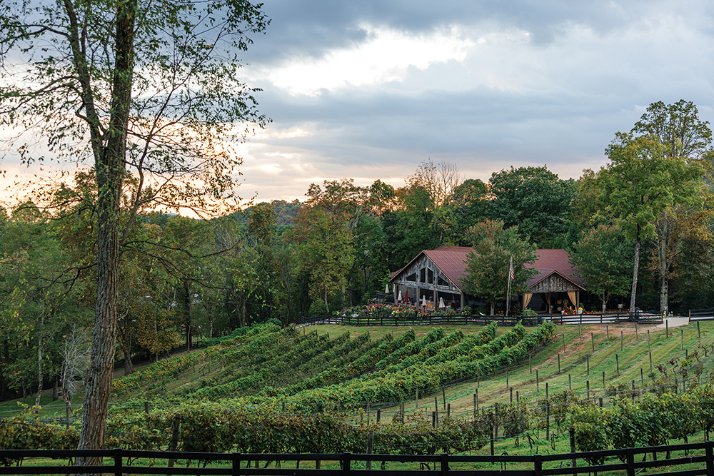 Happenings at The Vineyard at High Holly