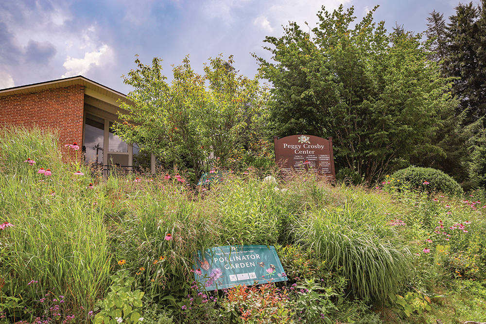 So Many Benefits from PCC