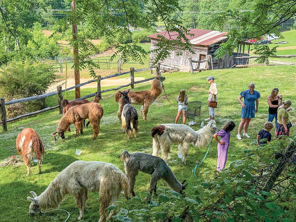 historic-toxaway-nc-sunday-stories-farm