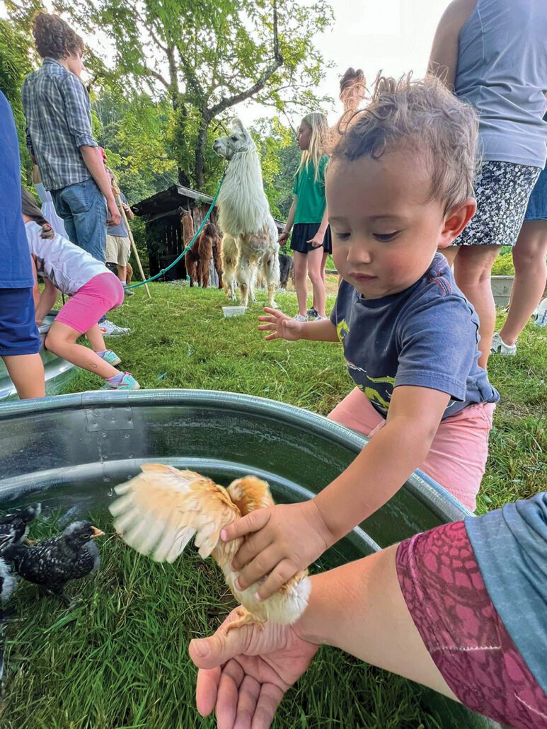 historic-toxaway-nc-sunday-stories-sweet