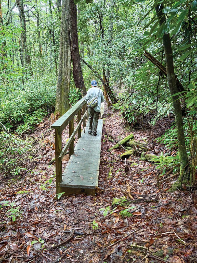 Bartram-Trail-bridge