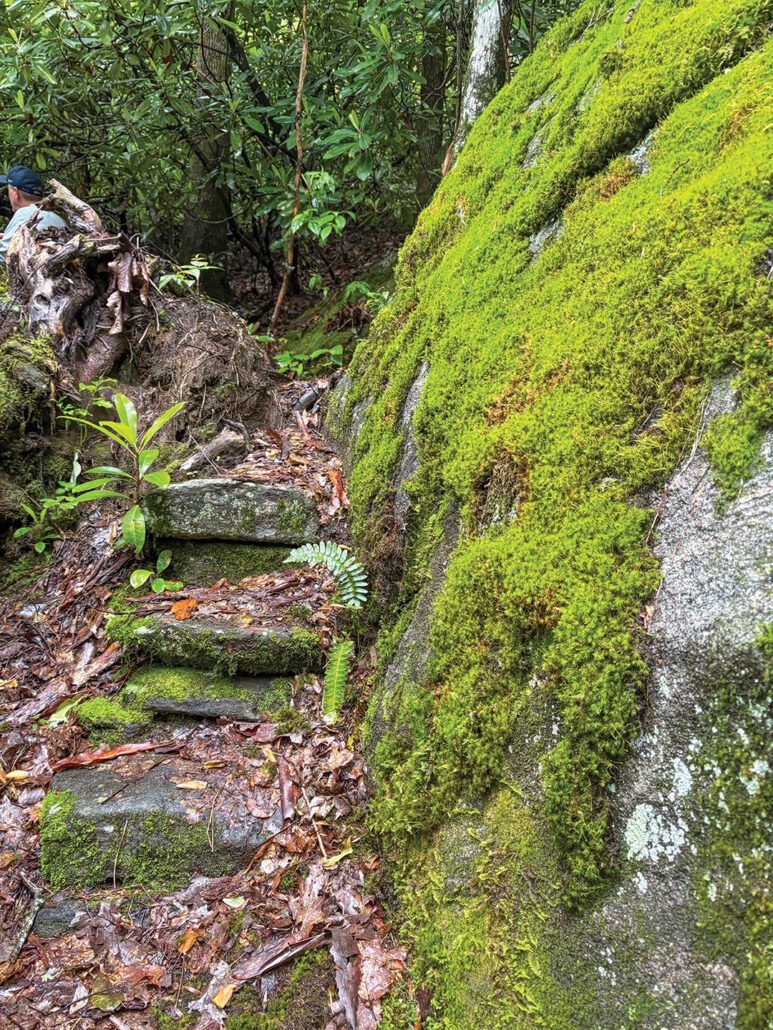 Bartram-Trail-rock-steps