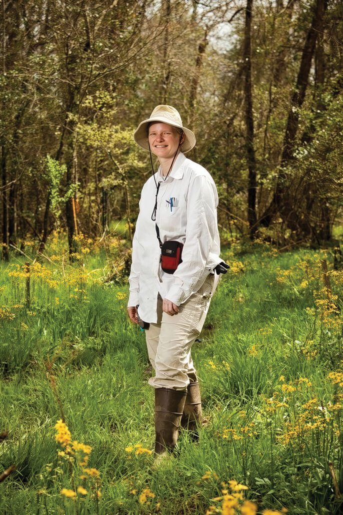 highlands-nc-bog-day