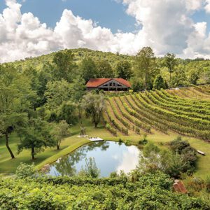 highlands-nc-vineyard-at-high-holly-landscape