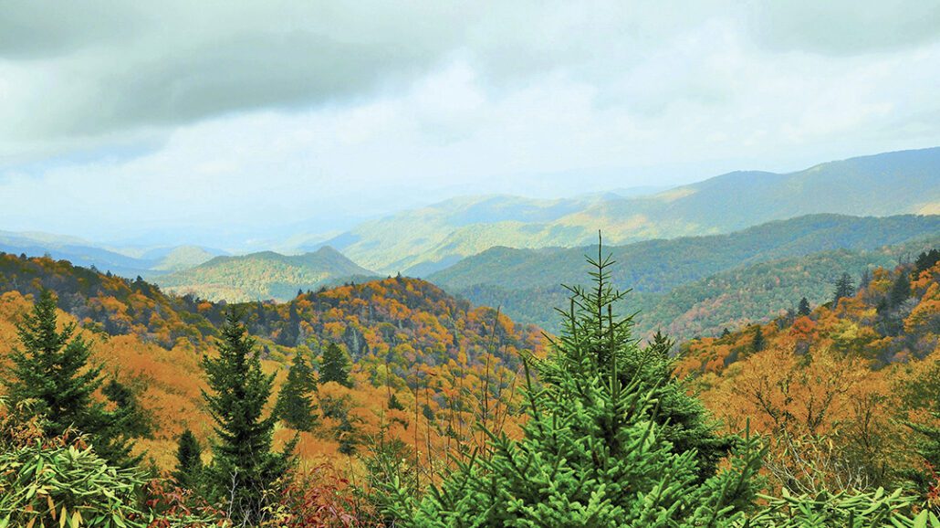 Appalachin-Fall-william-mcreynolds