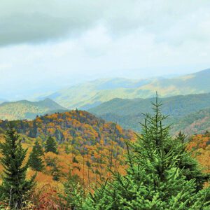 Appalachin-Fall-william-mcreynolds