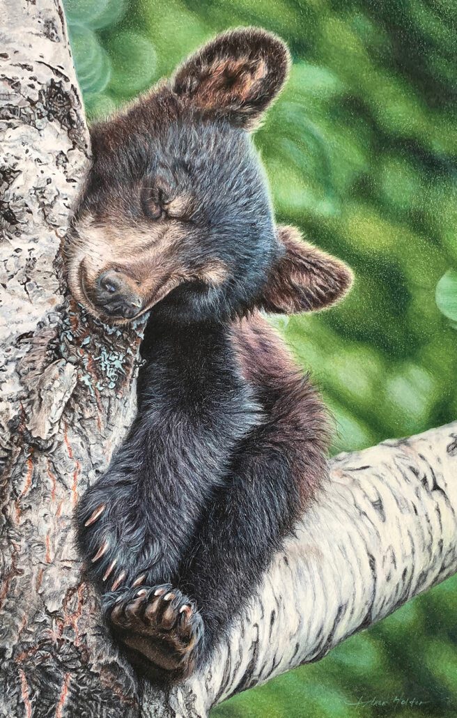 ann-holder-Bearly-A-Care