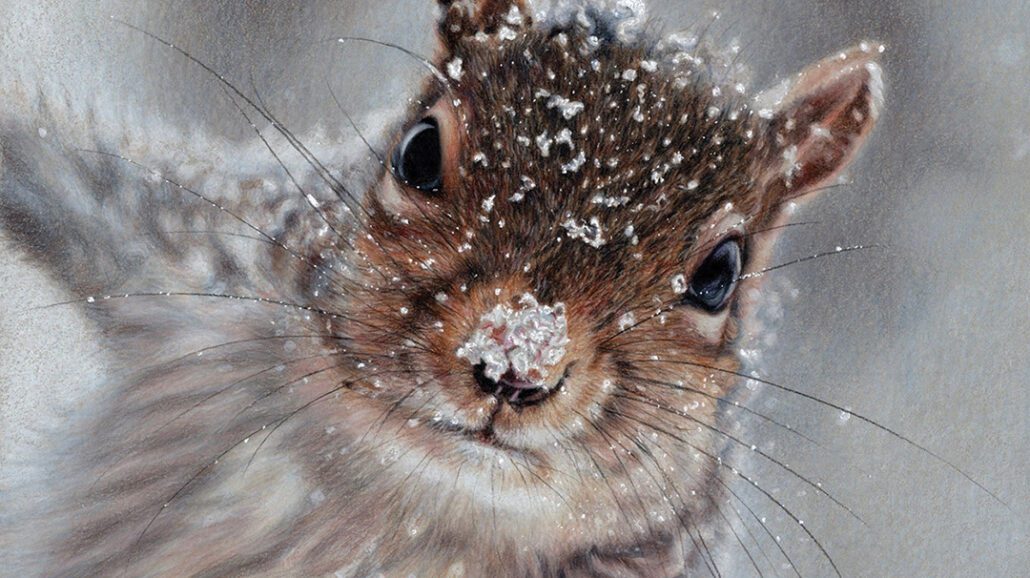 ann-holder-Frosty-the-Squirrel
