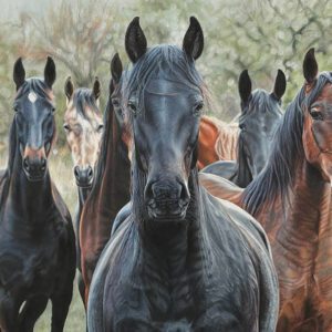 ann-holder-It-Wasn't-Me-horses