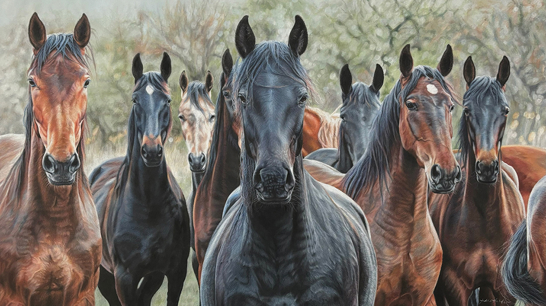 ann-holder-It-Wasn't-Me-horses