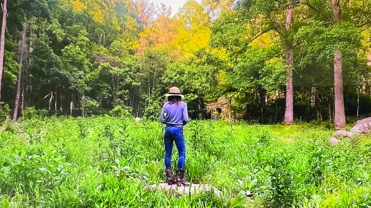 cashiers-highlands-nc-village-nature-series