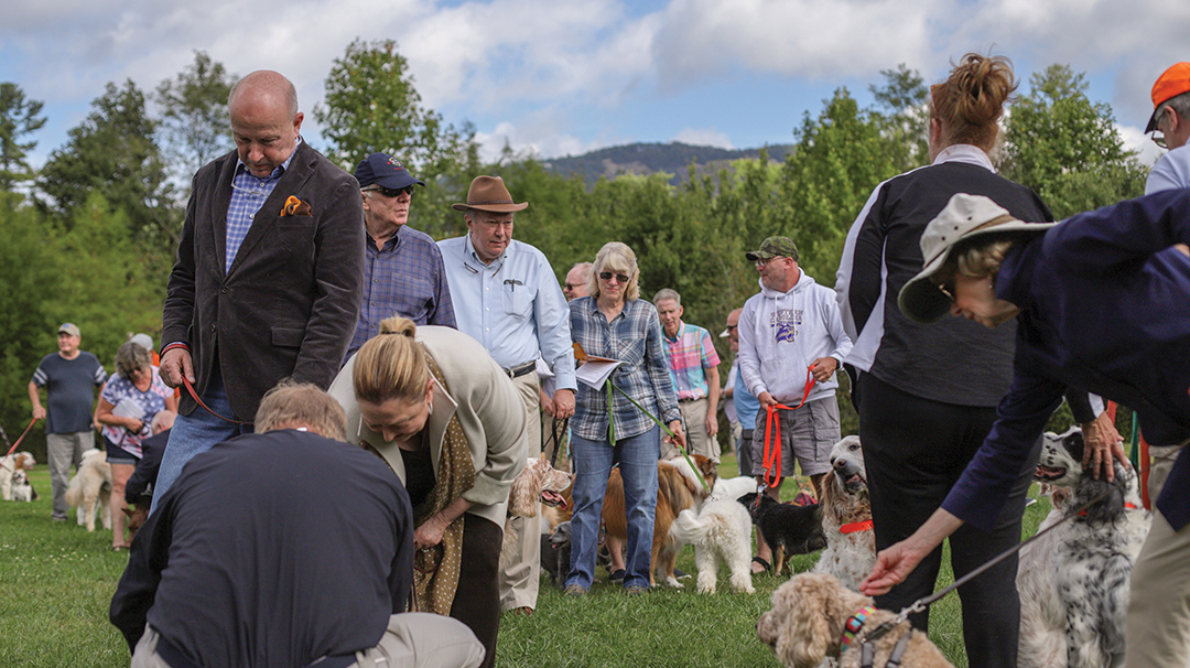 Blessing of the Animals
