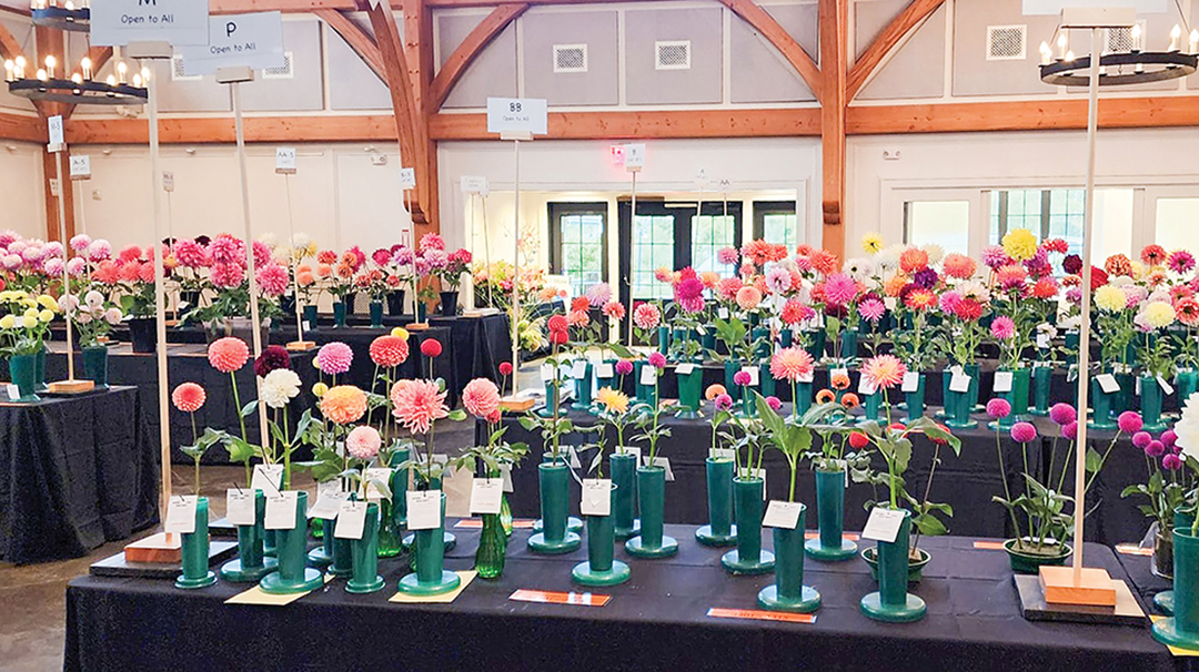 Planning the Perfect Blossom