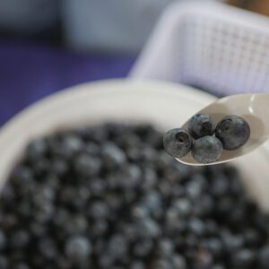 cashiers-nc-green-market-blueberries