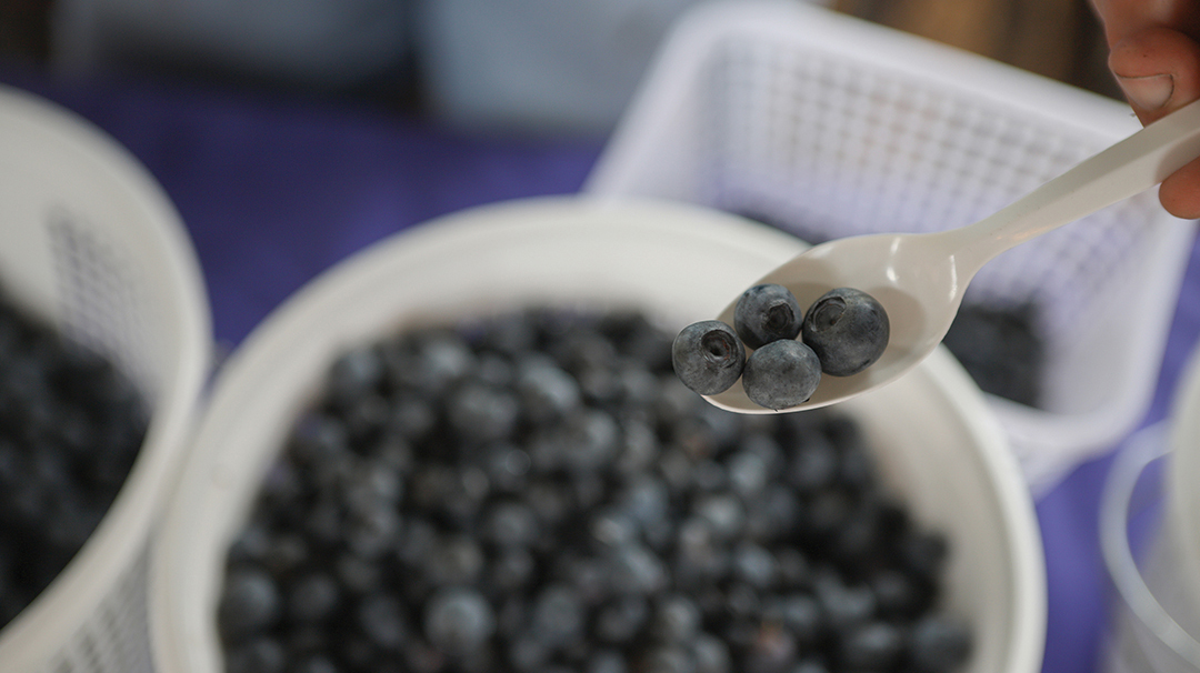 The Fall Food Fanfare