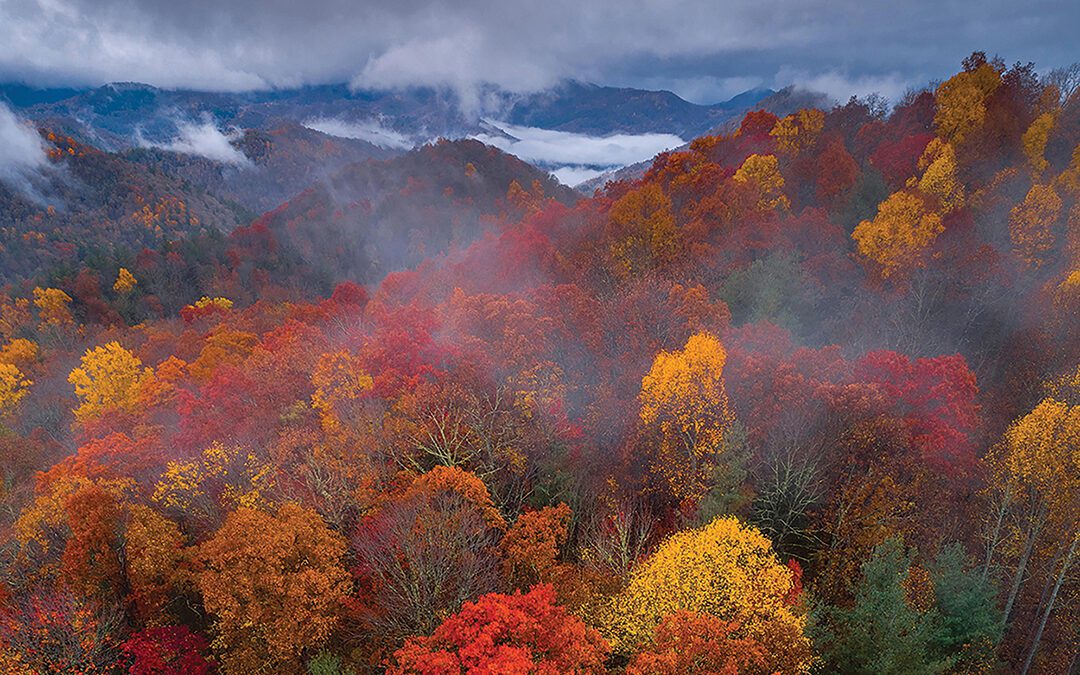 Scenic Scout Challenge