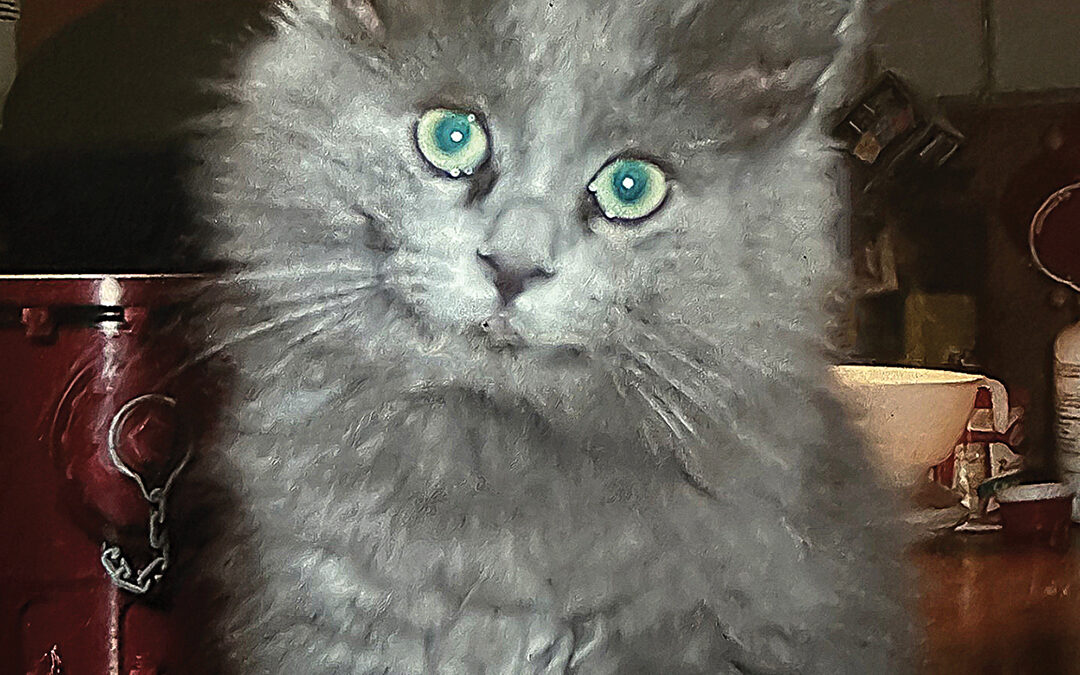 highlands-nc-Carpe-Diem-Farms-Kitty