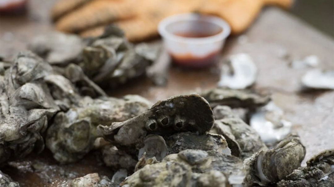 highlands-nc-highlander-mountain-house-oyster-roast.jpg