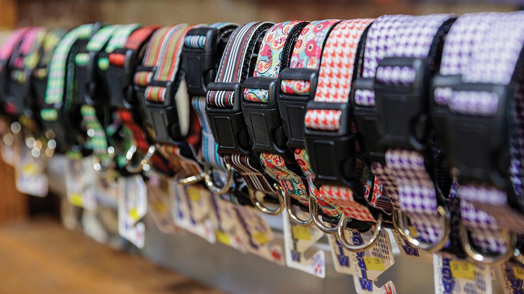 highlands-nc-mountain-paws-collars