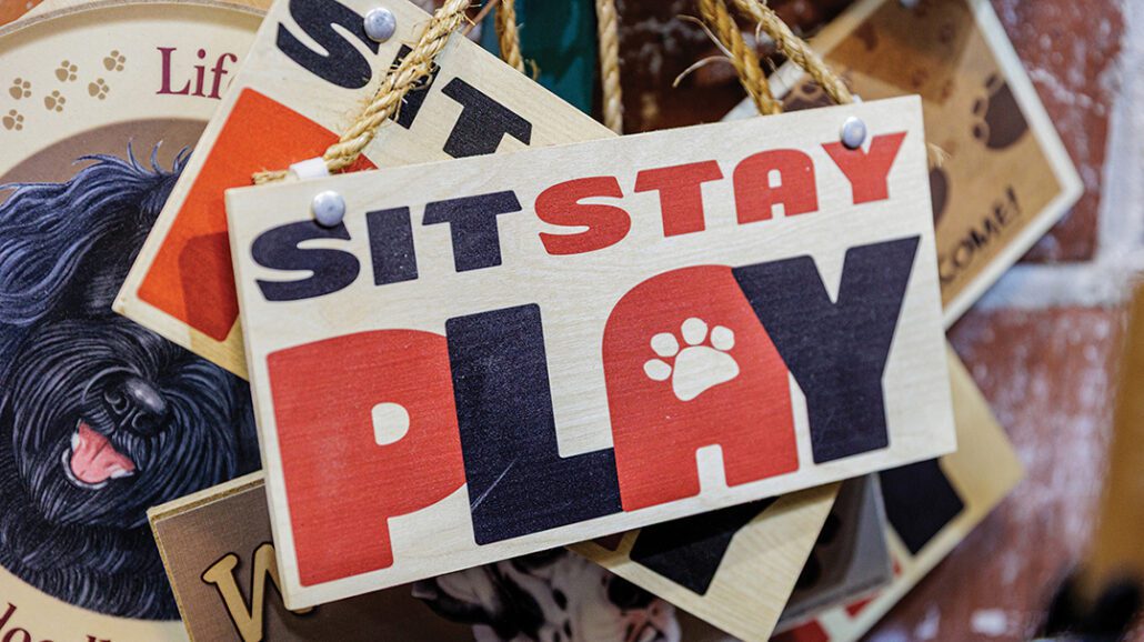 highlands-nc-mountain-paws-sit-stay-play