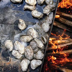 highlands-nc-old-edwards-oyster-fest