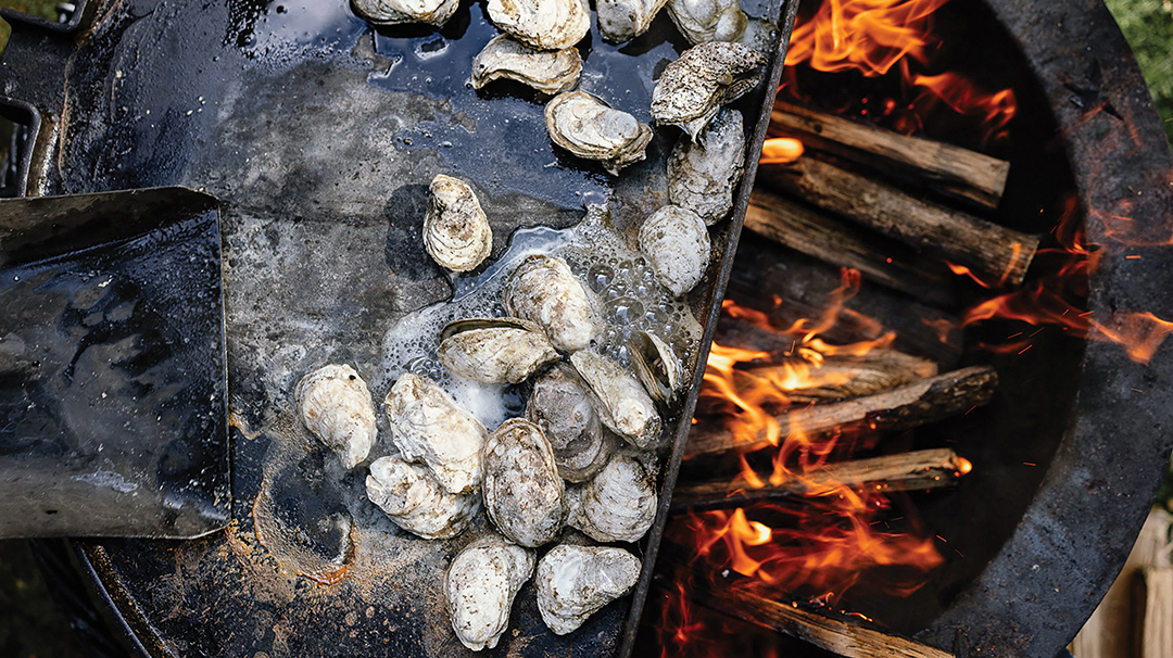 Oysters in the Mountains