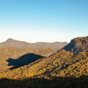HIghlands_NC_Mountain_View_bear-shadow