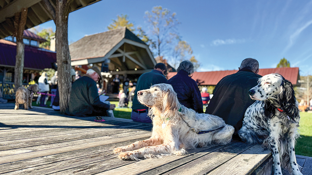 cashiers-nc-blessing-of-the-animals-doggies