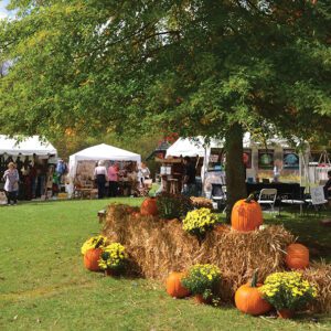 cashiers-valley-leaf-festival