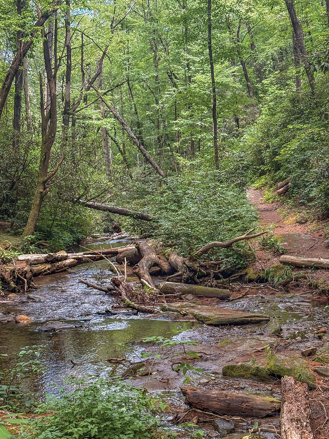 clayton-ga-warwoman-dell-stream
