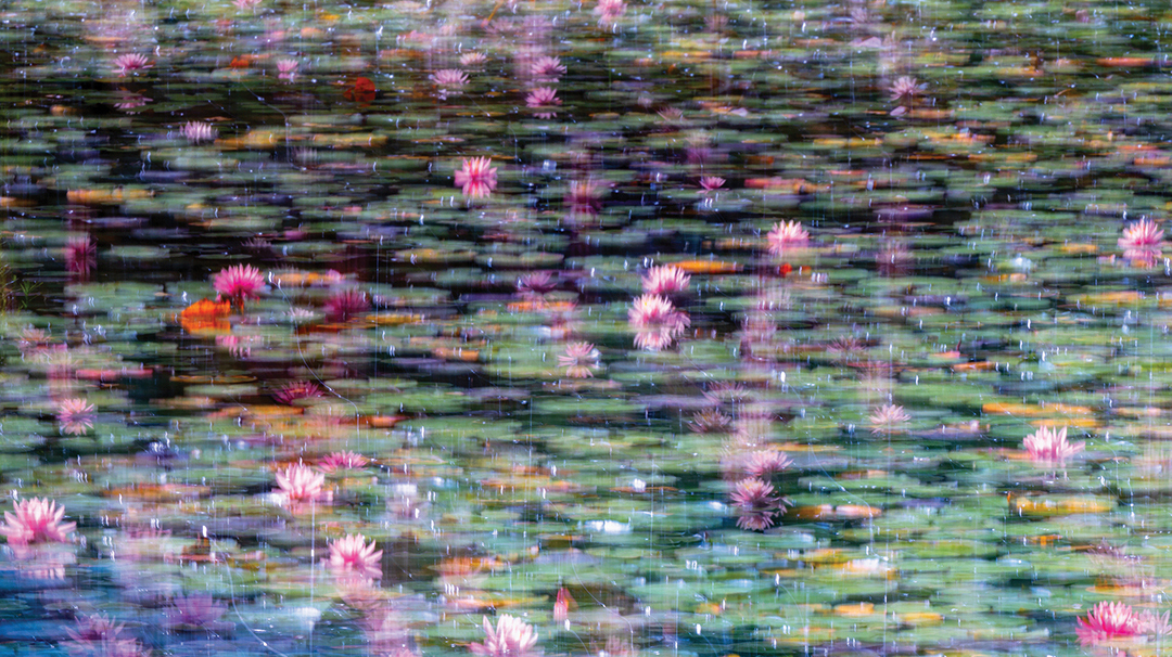 highlands-nc-art-league-gwen-Greenglass