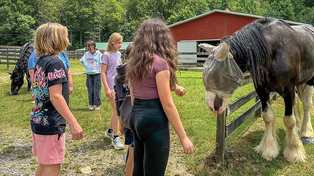 highlands-nc-carpe-diem-farms