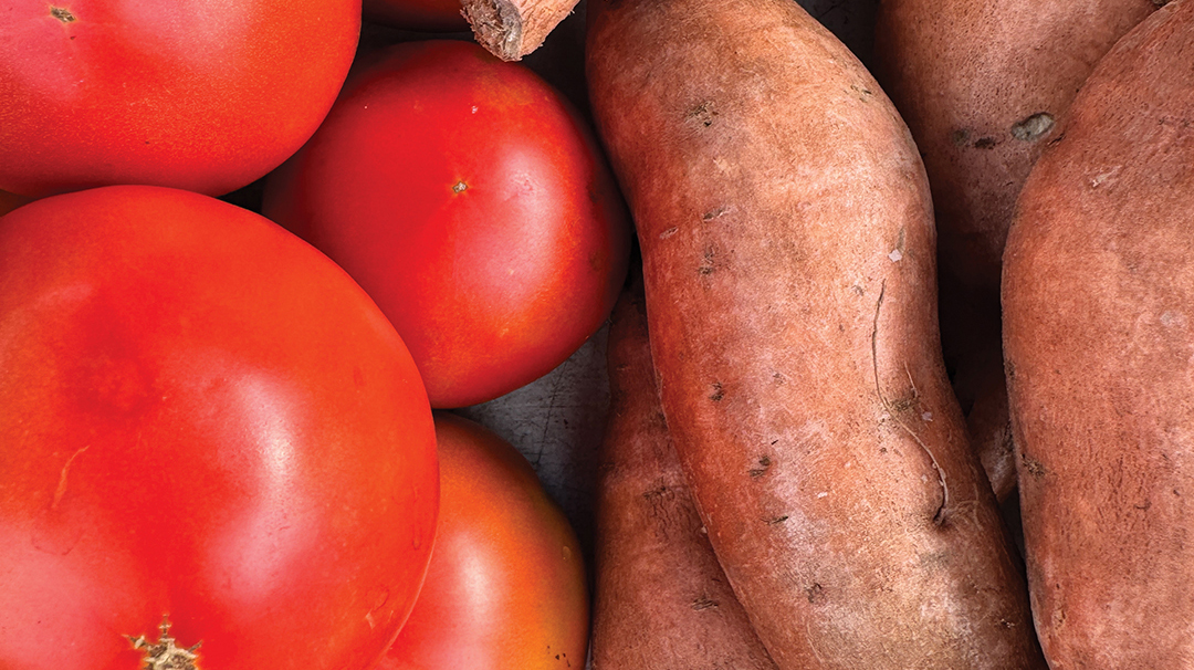 highlands-nc-farmers-market-tomato