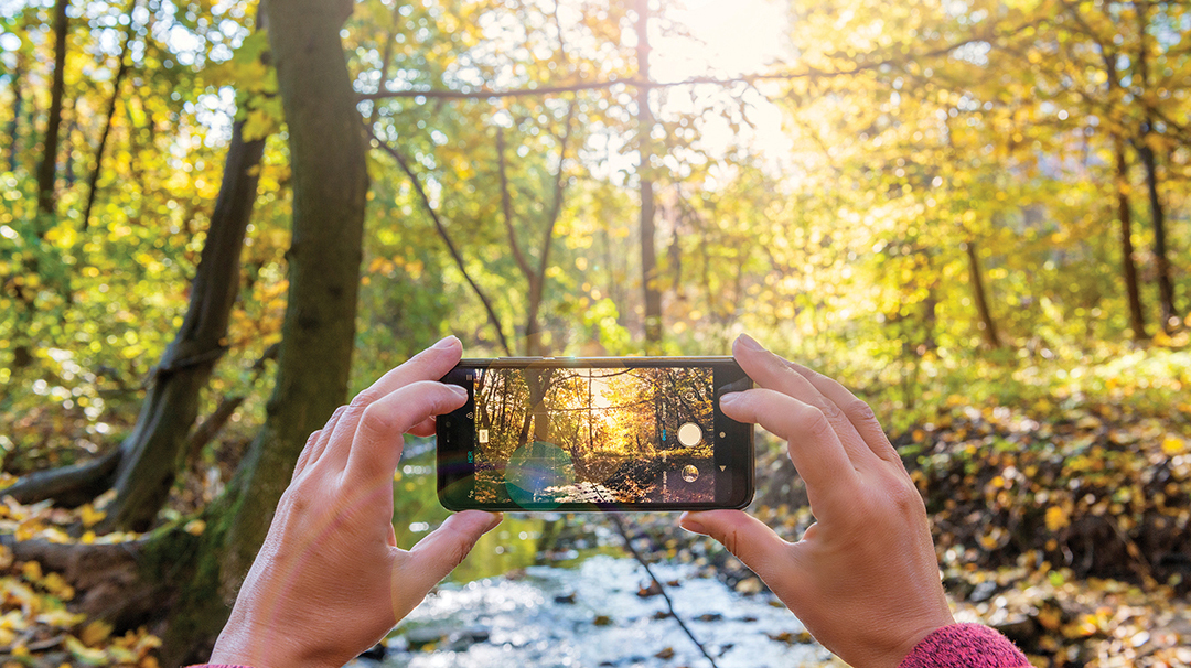 Autumn Bounty Begins