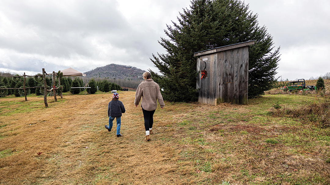cashiers-nc-christmas-tree-fielding-ava-axel