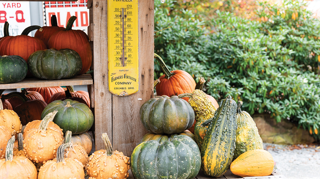 cashiers-nc-farmers-market-sign-gourds
