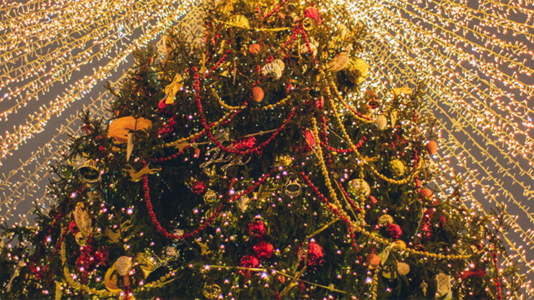 Cashiers’ Festival of Trees at Summit Charter School