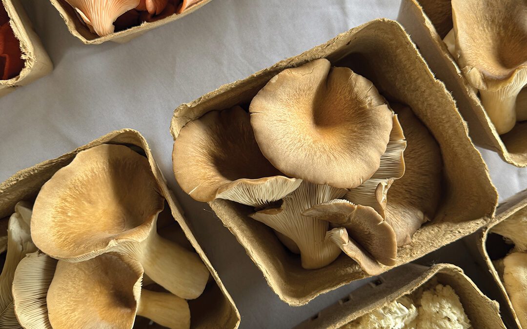 Winter Farmers’ Market